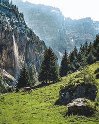 Scenic view of mountain against sky