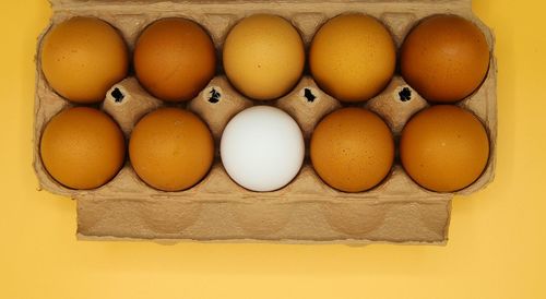 High angle view of eggs in container