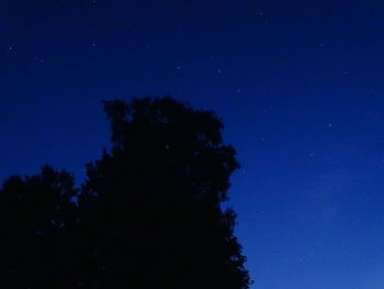 Low angle view of silhouette trees against clear blue sky at night