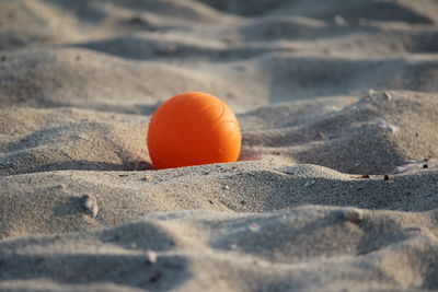 Close-up of pumpkin on shore