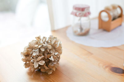 Close-up of white rose on table