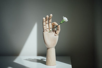 Close-up of potted plant on table against wall