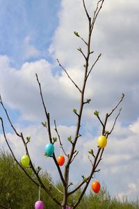 Low angle view of easter eggs on tree against sky
