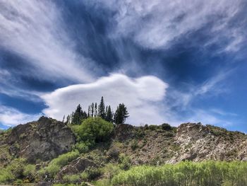 nature