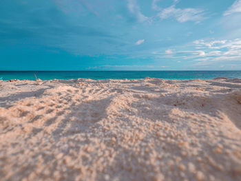 Scenic view of beach against blue sky