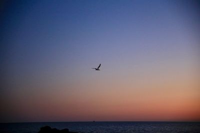 Silhouette birds flying over sea against clear sky during sunset