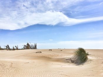 Scenic view of desert against sky