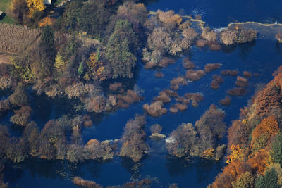 Scenic view of lake by trees against sky