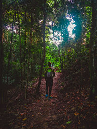 Rear view of man standing amidst trees in forest