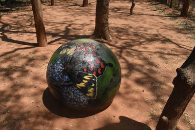 High angle view of multi colored ball on land