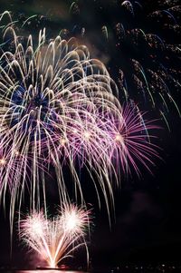 Low angle view of firework display