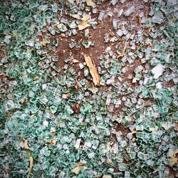 High angle view of broken glass on land