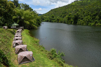 Scenic view of river amidst trees against sky