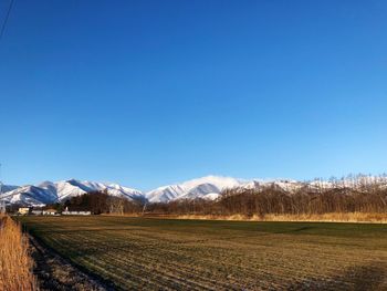 Scenic view of snowcapped mountains against clear blue sky