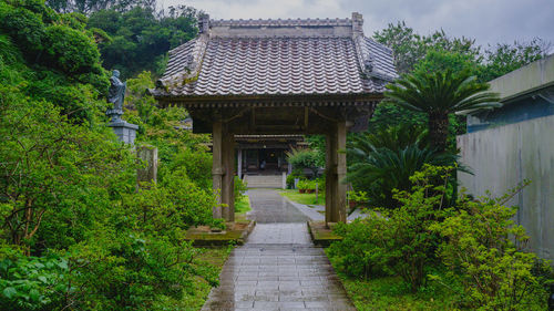 Footpath amidst houses