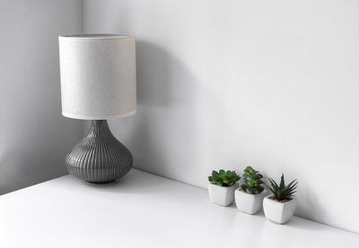 Close-up of potted plant on table against white wall at home