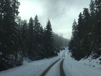 Scenic view of snow covered landscape