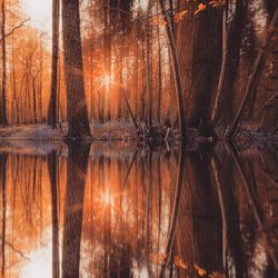 Close-up of lake against sky during sunset