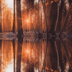 Close-up of lake against sky during sunset