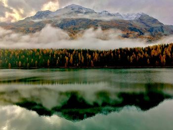 Scenic view of lake by trees against sky