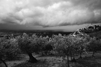Cityscape by sea against sky