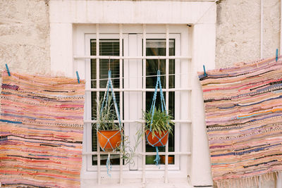 Potted plants on wall of building