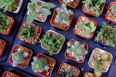 High angle view of food on table