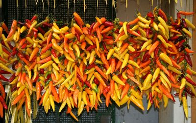 Chili peppers hanging for sale at market