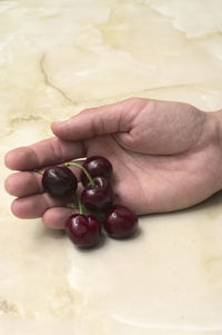 Close-up of hand holding fruits