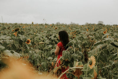 Young woman standing amidst sunflowers on field against sky