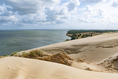 Nagliai nature reserve in neringa, lithuania. dead dunes, sand hills 