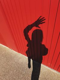 Shadow of hand on red wall