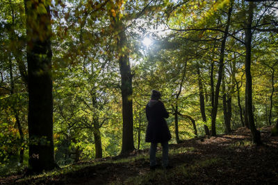 Rear view of man walking amidst trees in forest