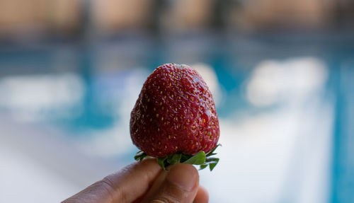 Close-up of hand holding strawberry