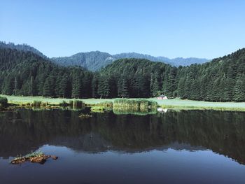 Reflection of trees in lake against clear sky