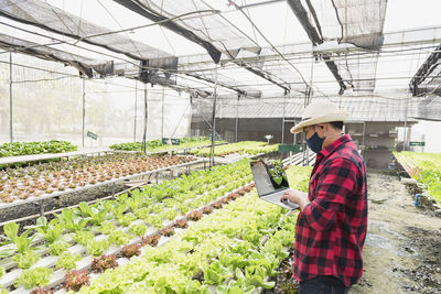A man owns a hydroponic farm selling lettuce by streaming it live online.