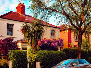 Houses and trees by building against sky