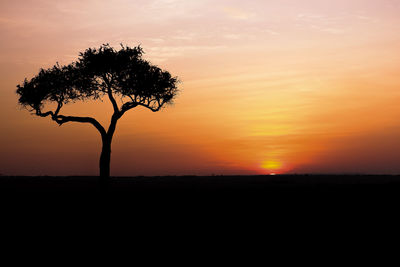 Silhouette tree against orange sky