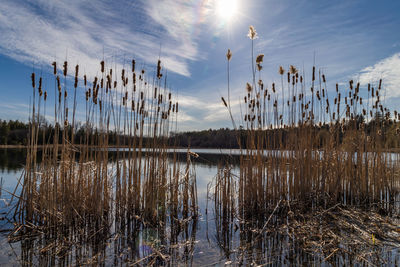 Scenic view of lake against sky