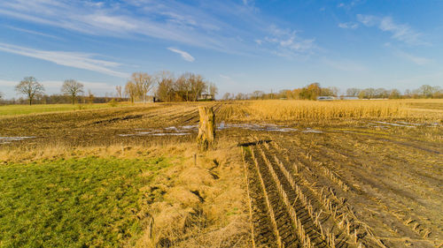 Scenic view of field against sky