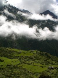 Scenic view of green landscape against sky