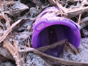Close-up view of pink wheel
