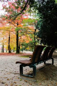 Bench in park