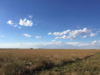 Scenic view of field against blue sky