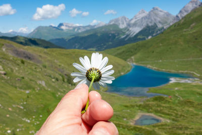 Cropped image of hand holding flowering plant against mountain