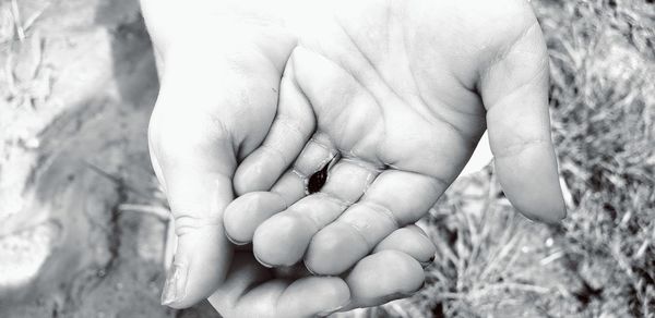 Close-up of hands holding baby