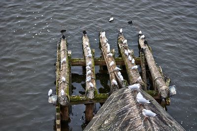High angle view of wooden post in lake
