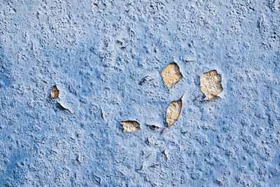 Full frame shot of blue damaged wall