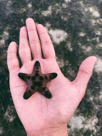 Close-up of human hand holding leaf