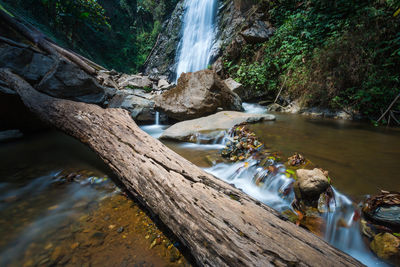 Scenic view of waterfall in forest